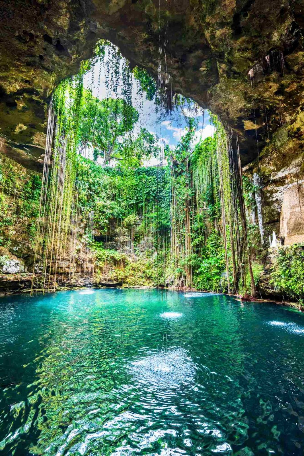 A cenote near the Yucatan with tree roots hanging into the clear water